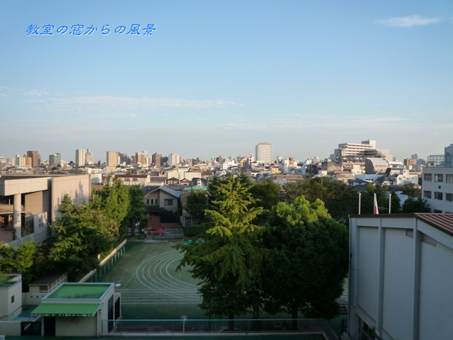 P1000026_1